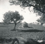 eika image